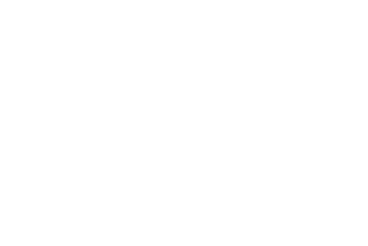 NextdaySheds